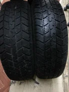 GT Radial Champiro 75. �����������, �/�, ����� 30�%