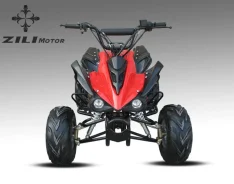 ZiliMotor. ��������, ��� ���\���, ��� �������