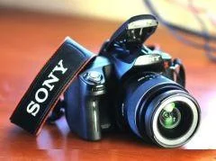 Sony Alpha DSLR-A290. 10 - 14.9 �� ����