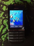 Nokia Asha 300. ����� ����