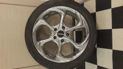 PANTHER. x17" ����