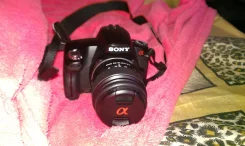 Sony Alpha DSLR-A290 Kit. 10 - 14.9 ��, ���: 12� ����