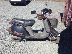 Honda Lead. 80����. ��., ��������, ��� ���, ������ �� �� ����
