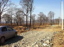Участок Ясное аренда. 1 500 кв. м., аренда, от частного лица (собственник). Фото участка