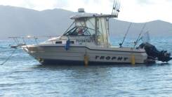 Bayliner. 1992 ���, ��������� ���������, ������ ����
