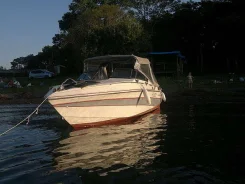 Wellcraft. 1995 ���, ��������� ���������, ������ ����