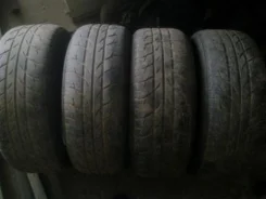 Tigar Prima. ������, �/�, ����� 50�% ����