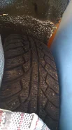 Sagitar. �����������, 2013 ���, 5�%, 1 ��