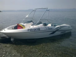 Yamaha LS. 2002 ���, ����� 6��., ��������� ������������, 270��.�., ������ ����