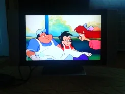 Prima. LCD (��) ����
