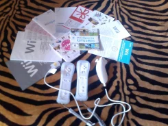 Nintendo Wii ����