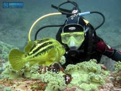 Обучение дайвингу в Находке. Центр подводного плавания "AquaMax".