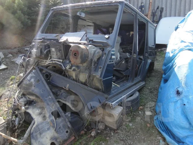 Mercedes-Benz G-Class. WDB463, M103 ����