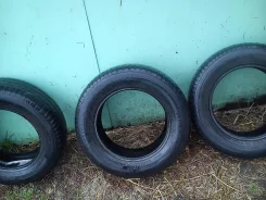 Platin. ������, 20�%, 3 ��