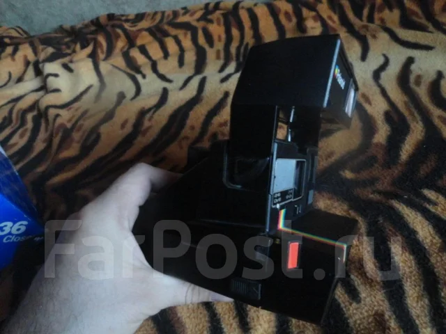Polaroid ����