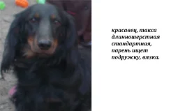 �����. ����