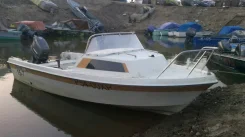 Yamaha Fish. 1996 ���, ��������� ���������, ������ ����