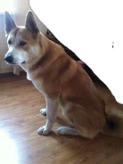 ������� ��������� �����. ����