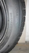 Lassa Iceways. ������, ����������, 2011 ���, �/�, ����� 10�% ����