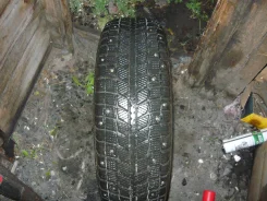 Tunga Camina. ������, ����������, 2013 ���, �/�, ����� 5 % ����