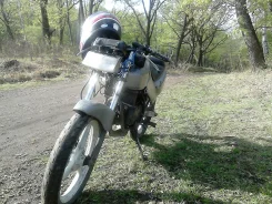 Honda NS 50F. 50����. ��., ��������, ���������, ������ �� �� ����
