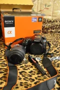 Sony Alpha SLT-A57. 15 - 19.9 ��, ���: 5� ����