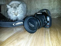 Canon EOS 400D. 10 - 14.9 �� ����