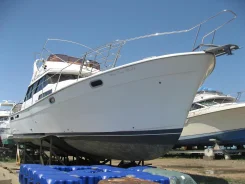 Bayliner. ��������� ������������, ������ ����