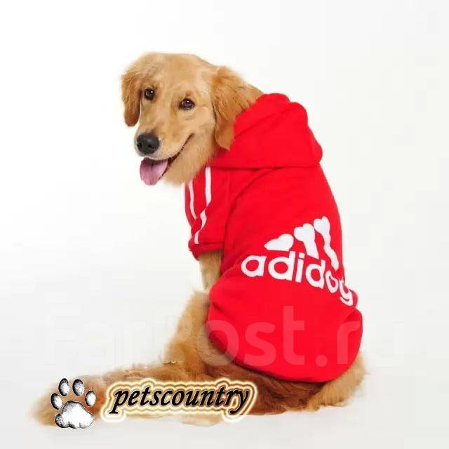 Adidog sweater hotsell