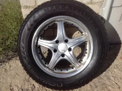 Stalker. x14.5" ����