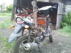 Ducati Monster. ����������, ���, � �������� ����