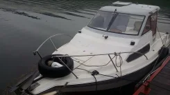 ������ �����. 1996 ��� ����