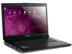 DNS Gamer. 2,4����, ��� 6 ��, ���� 810���, WiFi, Bluetooth ����