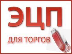 Электронная цифровая подпись ЭЦП для торгов, Госзакупок, Тендеров
