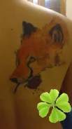 ������ ���� ����