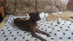 ������. ����