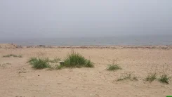 ���� ������ "�����" ����� ����� ����