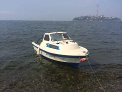 Yamaha F-17. ��������� ���������, ������ ����