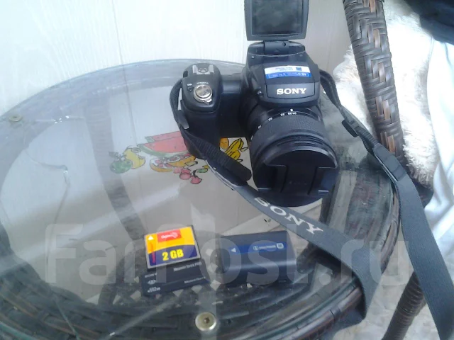 Sony Cyber-shot DSC-R1. 10 - 14.9 ��, ���: 5� ����