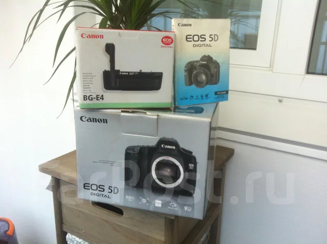 Canon EOS 5D. 10 - 14.9 ��, ���: ��� ���� ����
