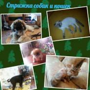 Чистка зубов.