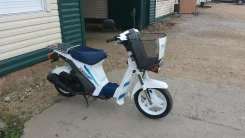 Suzuki Mollet. 50����. ��., ��������, ���������, ������ �� �� ����