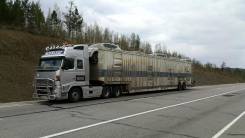 Cimc. Продам Автовоз крытый на 10 машин., 20 000 кг.