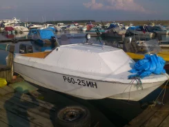 ������-2. 1982 ���, ��������� ���������, ������ ����