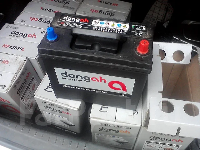Dong. 42��.�. ����
