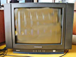 Panasonic. 21"