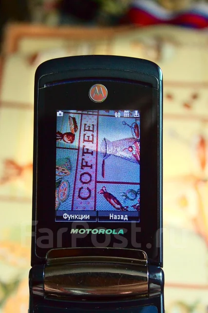 Motorola RAZR2 V8. �/� ����