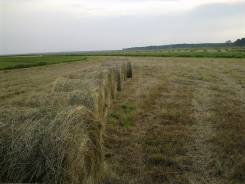 Сено.