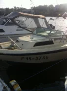 Yanmar. ��������� ���������, ������ ����