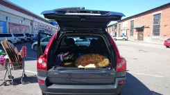 Volvo XC90. �������, 4wd, 0.0, ������ ����